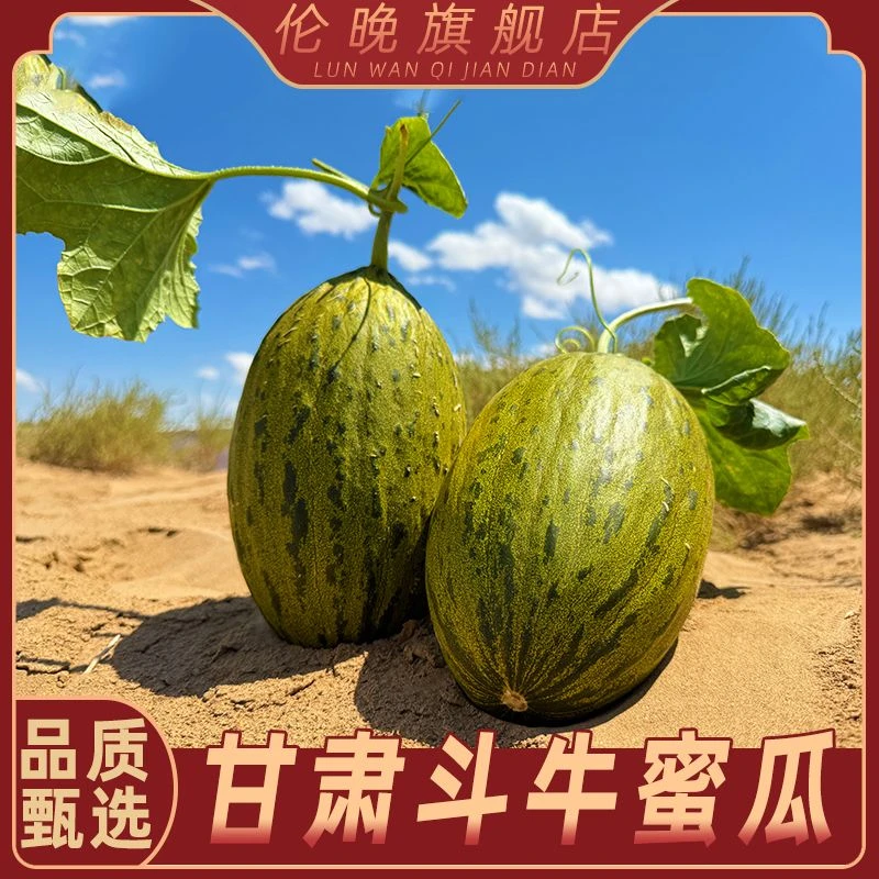 甘肃大漠冰激凌斗牛蜜瓜 净重4-9斤
