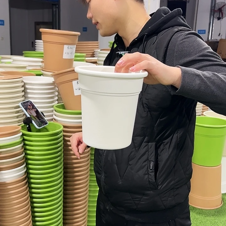 正品翻边口16.5高17.5白色8只带托