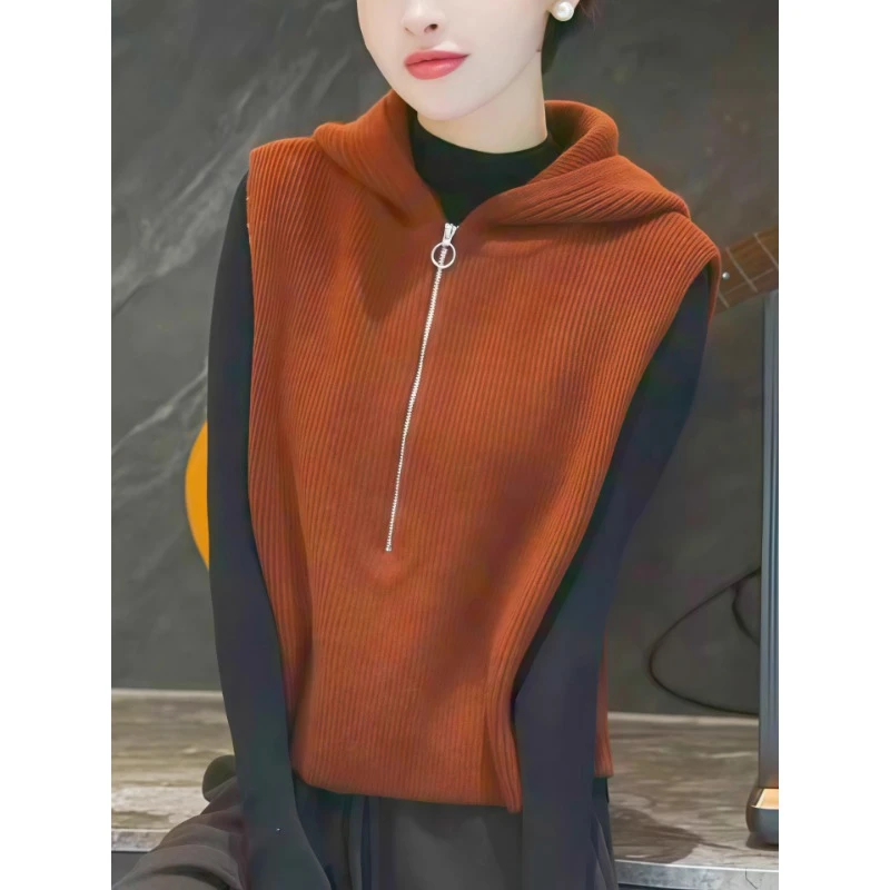 高级感连帽毛衣针织背心马甲女款2025新款爆款秋冬巨好看短款上衣