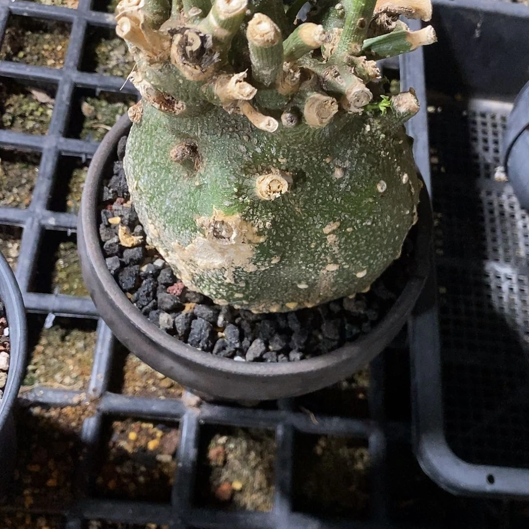 V****o哈哈哈哈哈哈哈哈