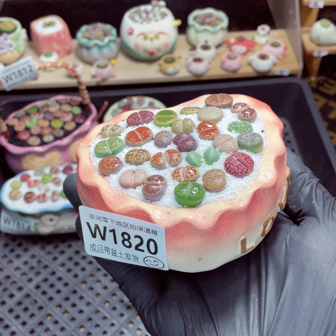 夜间零下地区拍保温箱w1820