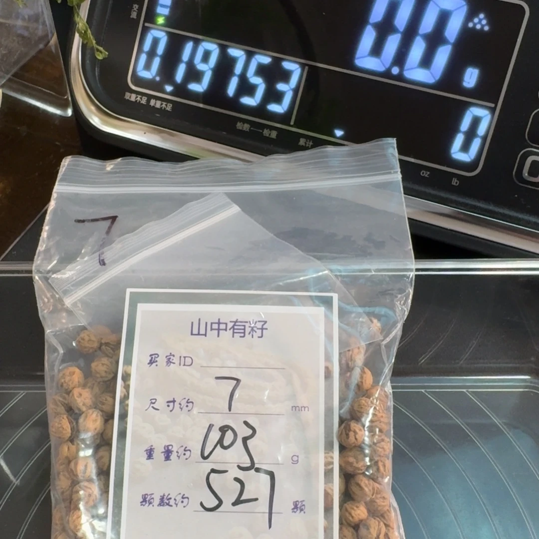 ****吗柏香籽/百香籽吊坠