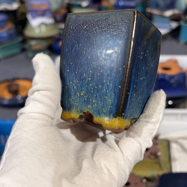 碗觉象原创作品欣赏