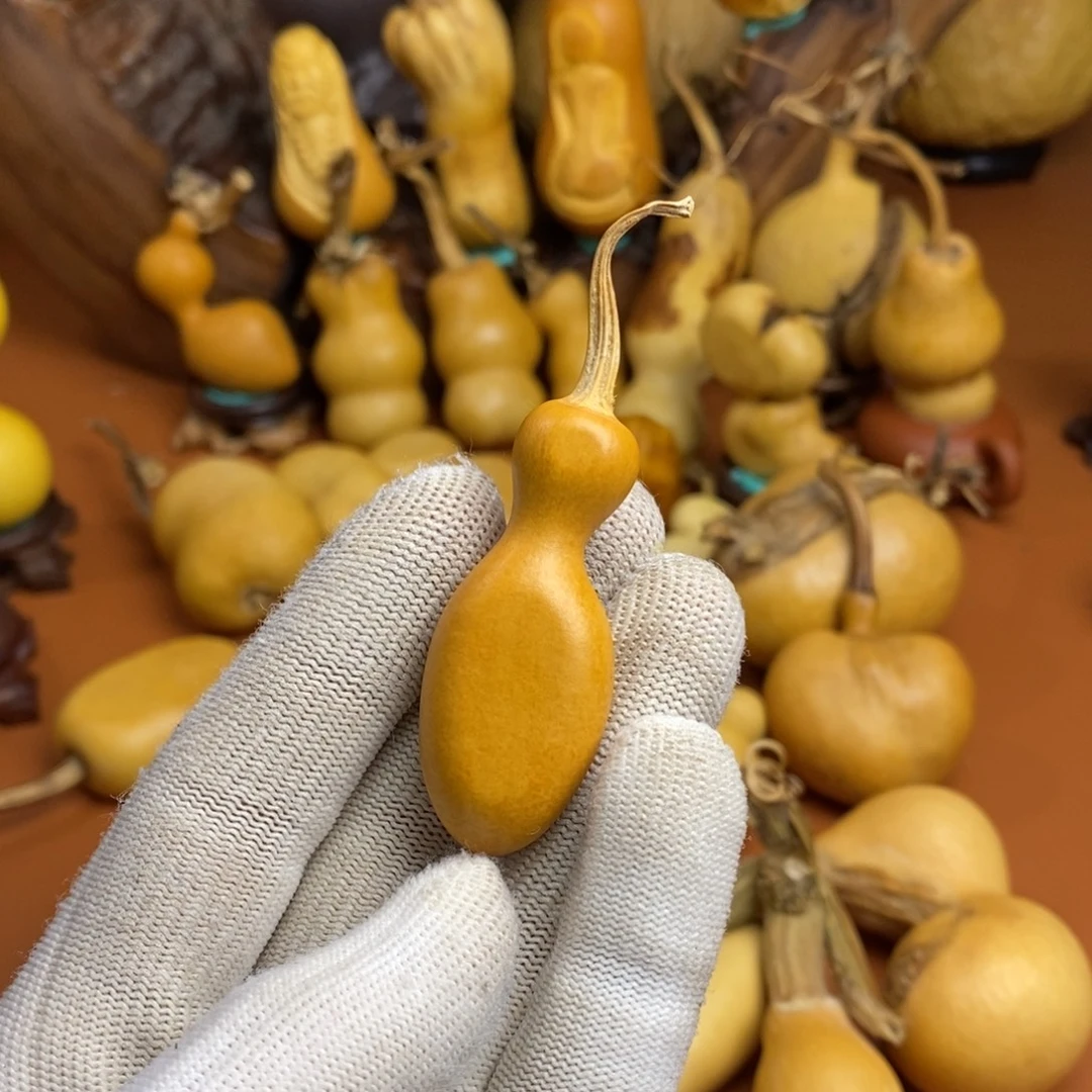 ****文教练咯教练咯教练咯