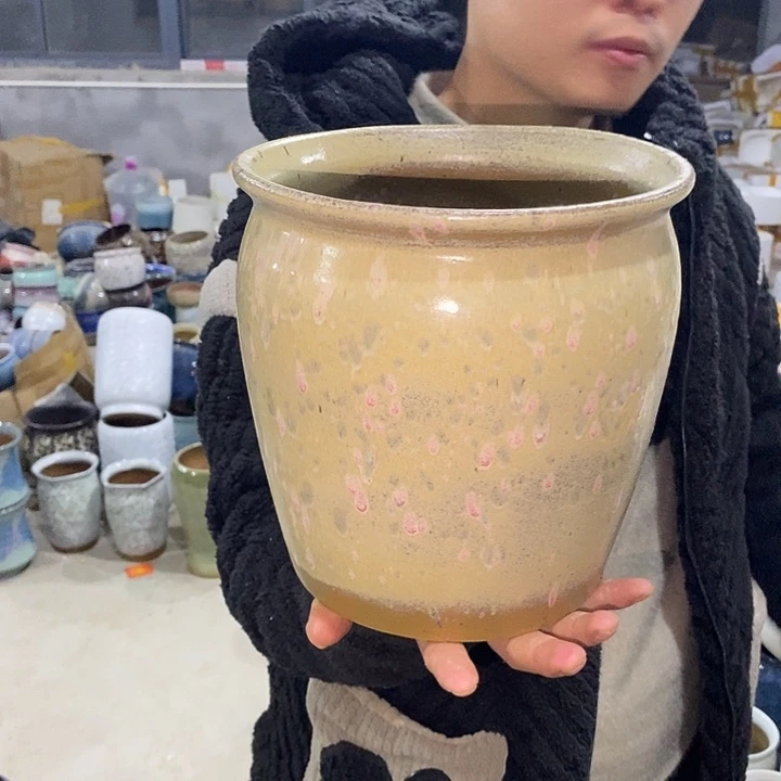 红陶尾颜色随机啦啦啦