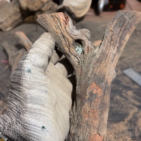 大果紫檀（缅甸花梨）心****往