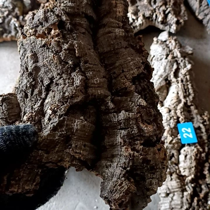 木一物一拍一物一发