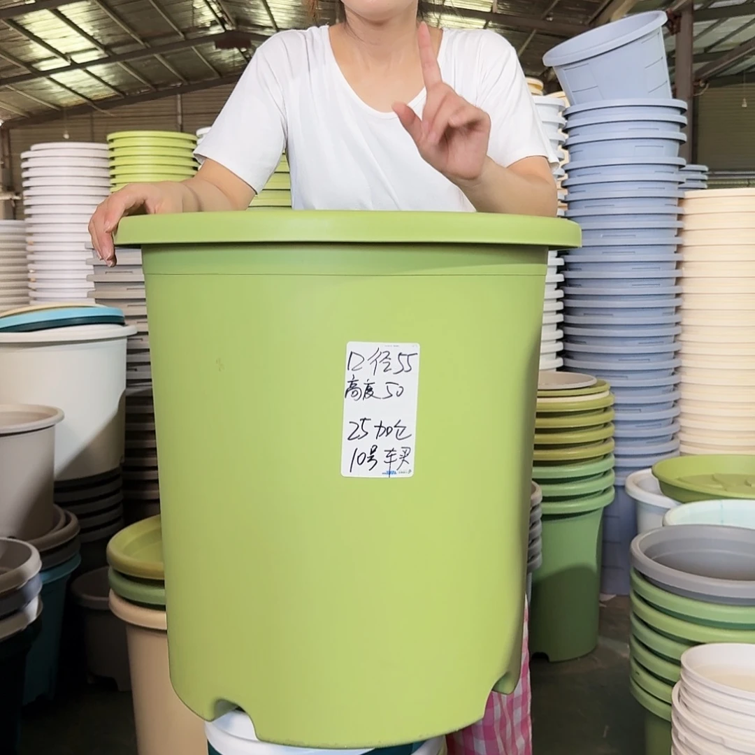 微瑕55口无拖果绿2个