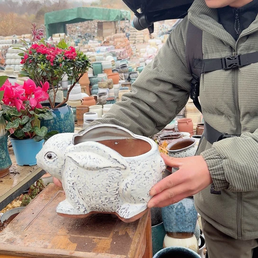 紫砂花盆兔子白色一个一个