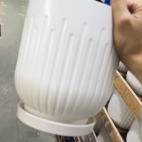 ·当场直播凑9发·慎拍·全是福利·