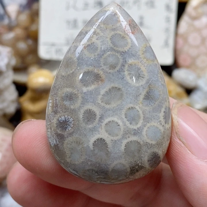 硅化珊瑚（珊瑚玉）未镶嵌颈饰