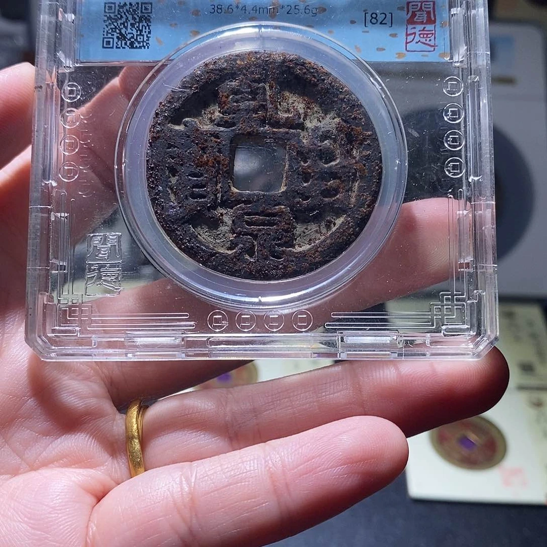 贝壳8 恭喜发财恭喜发财