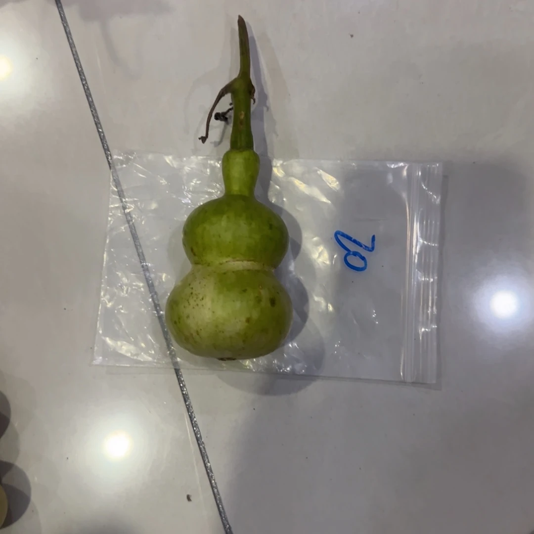 圆***满青皮不包成青皮不包成