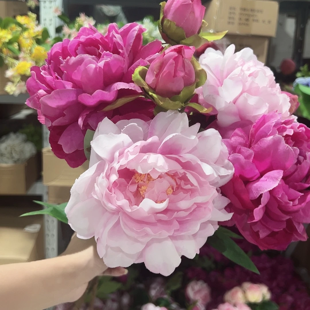 4枝混色牡丹花。