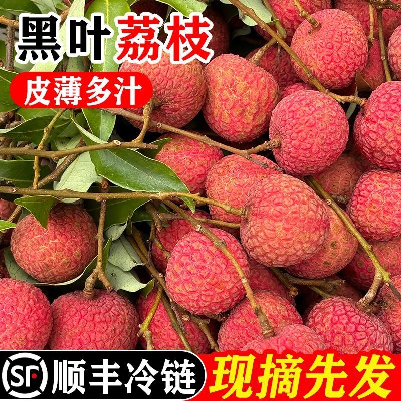 【顺丰冷链】正宗广东荔枝黑叶新鲜肉厚当季水果