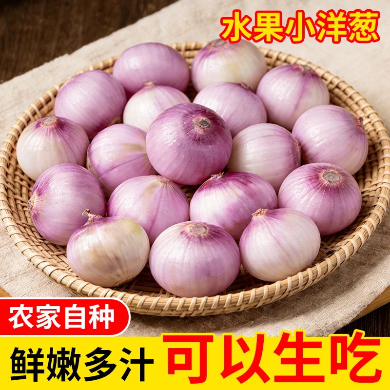 【珍珠小洋葱】迷你小洋葱紫红皮新鲜上市微辣微甜炒菜凉拌现挖现发