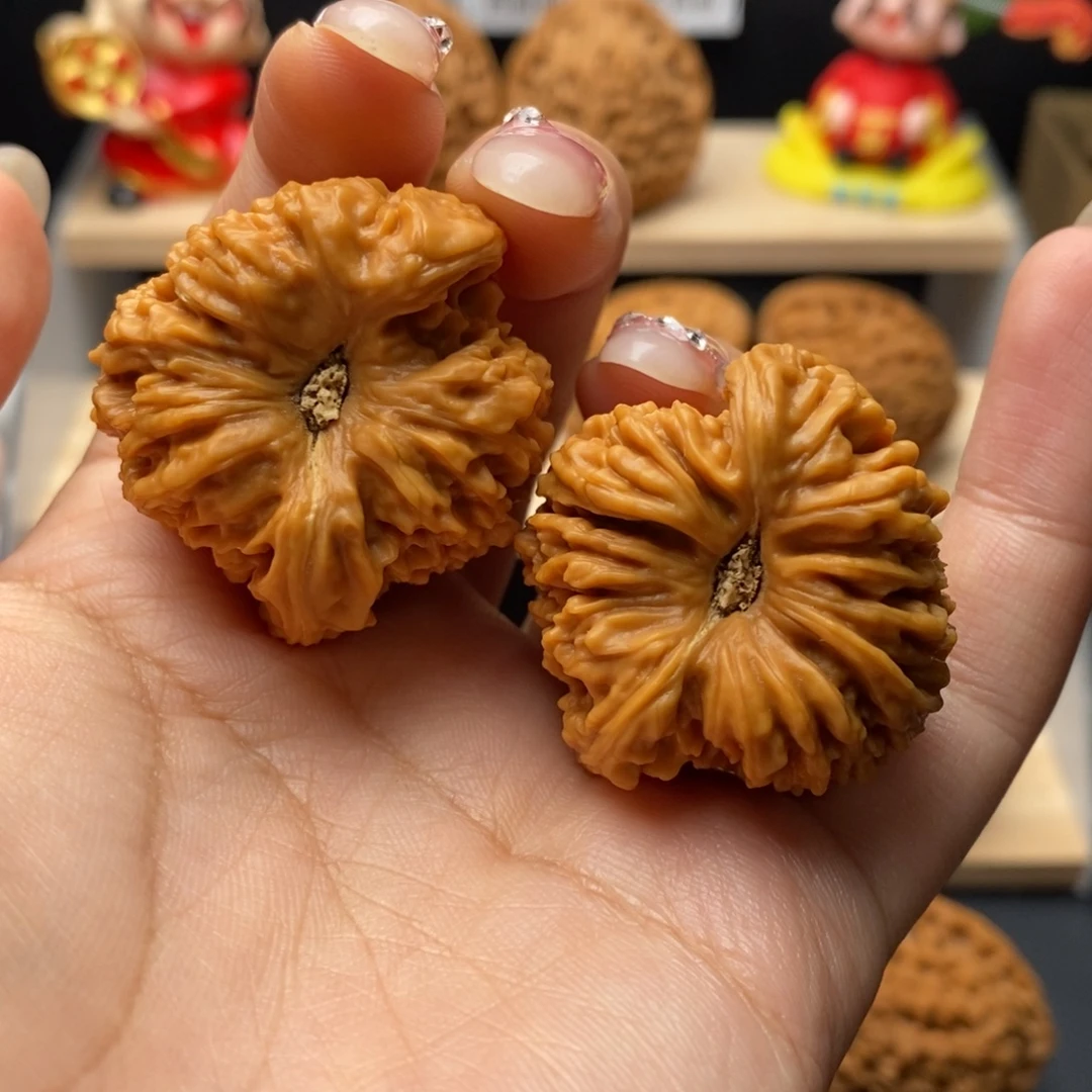 这***生7号37.35.37原树高炮窝头招财耳全品