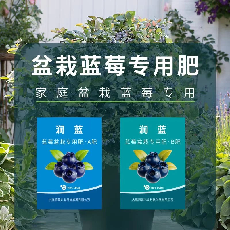 蓝莓营养有机肥A+B肥促花 催果 叶面光泽