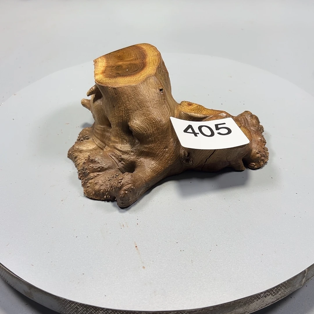 大果紫檀（缅甸花梨）知*玺