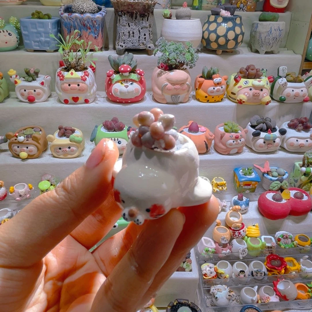 五*弎五宝专属链接拍拍