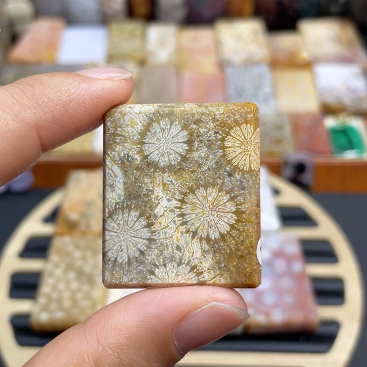 硅化玉未镶嵌颈饰k57