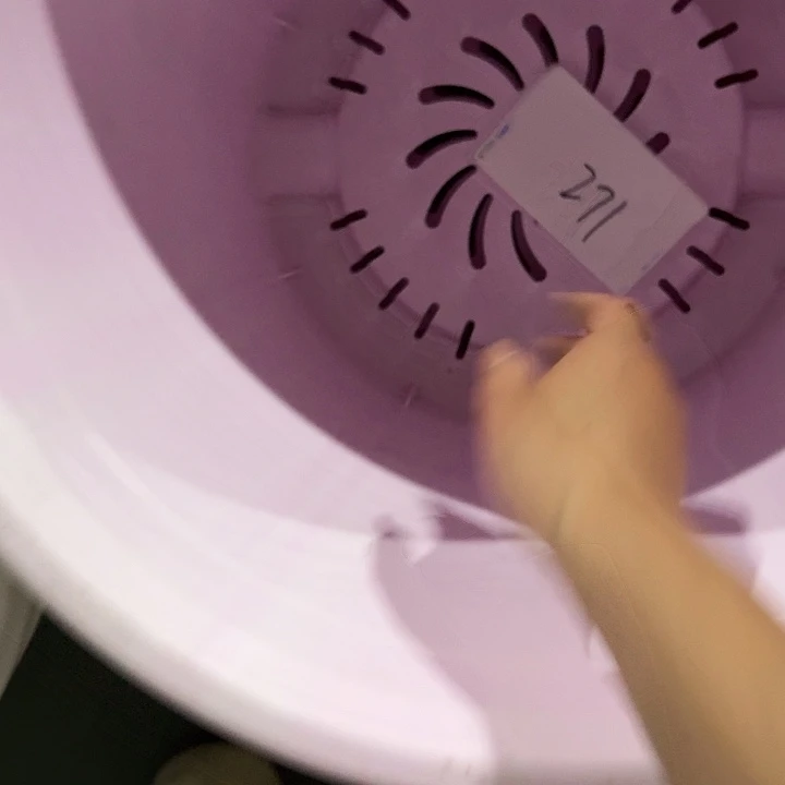 向***葵编号271瑕疵串色 特价