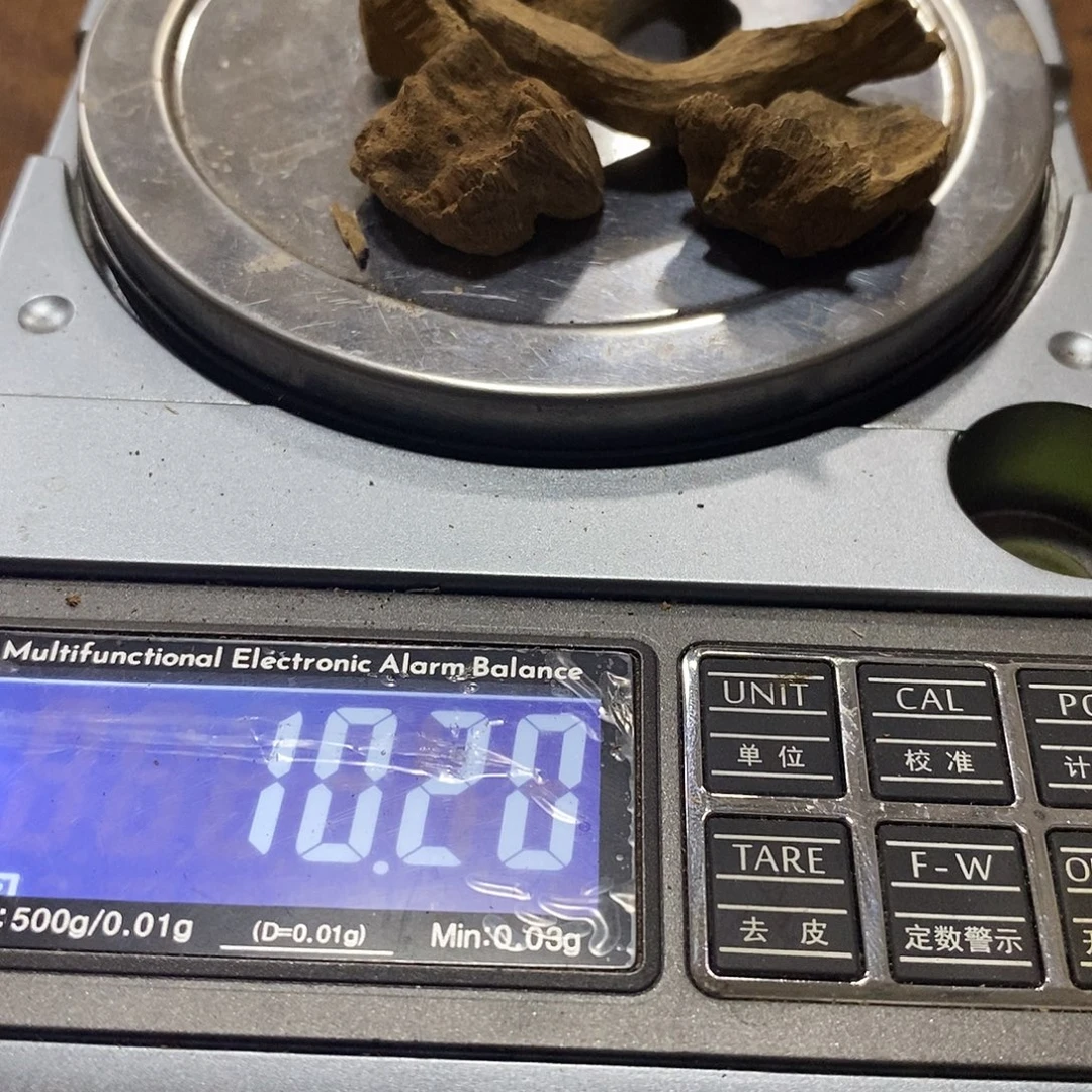 星洲一份（福利92603