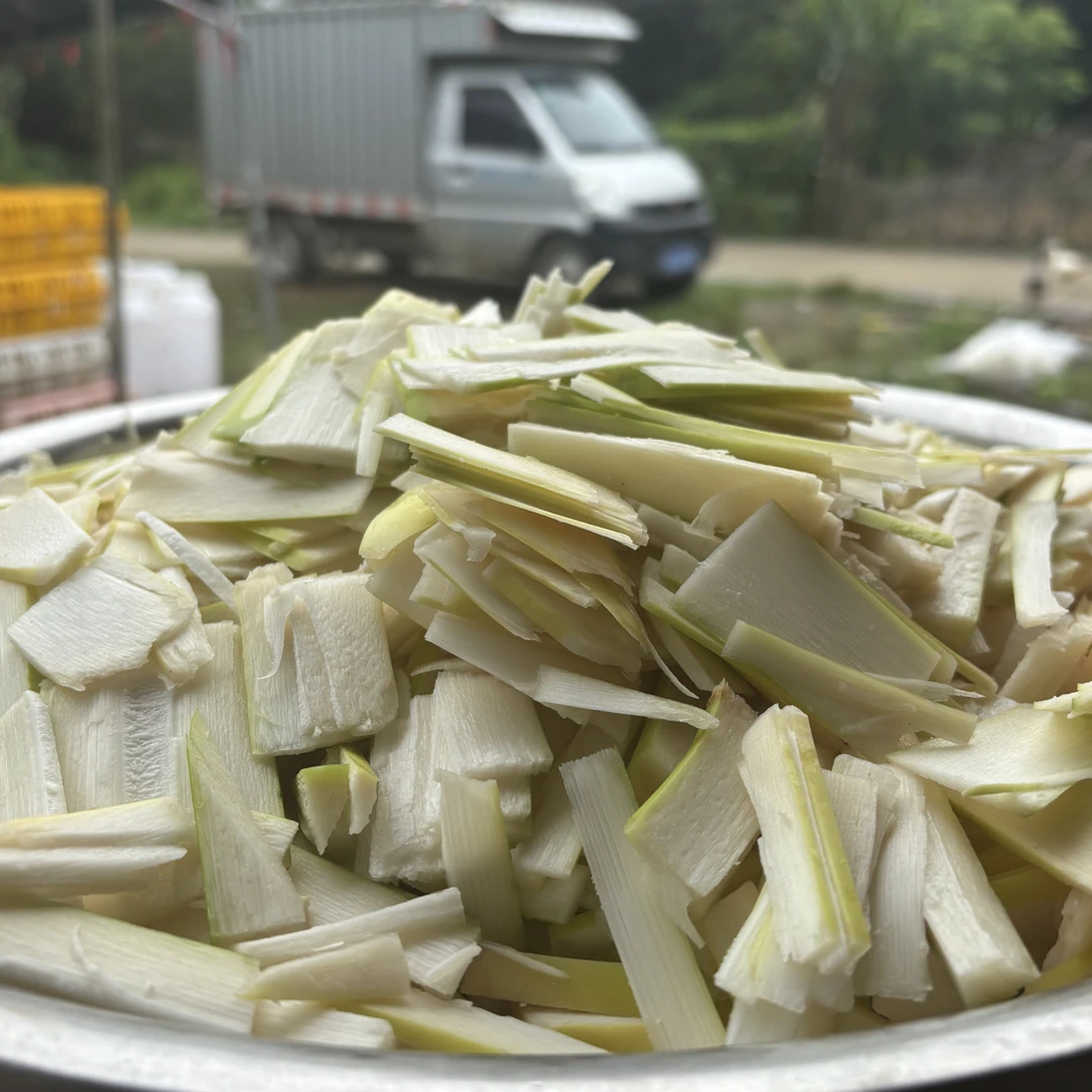 《顺丰包邮》广西小溪水河边的野竹笋，当季蔬菜