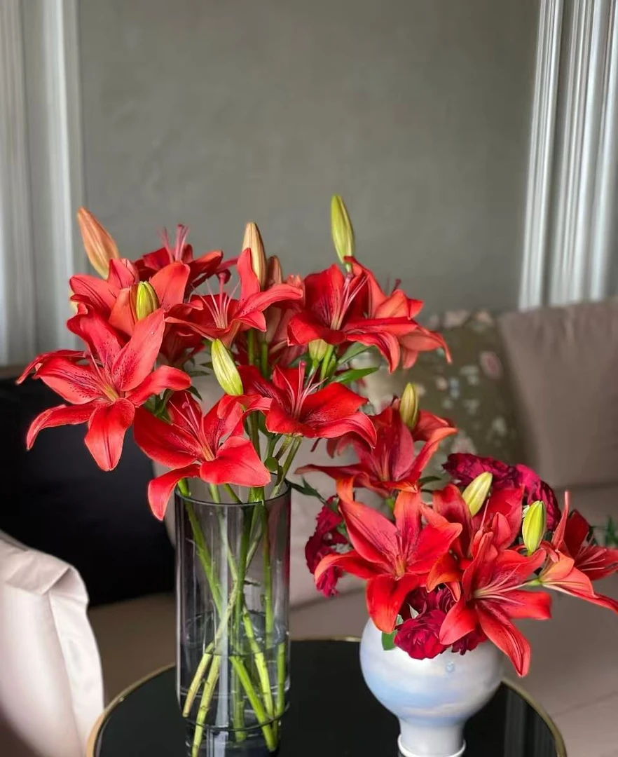 三头红宝石亚百合云南鲜花同地址2单发顺丰