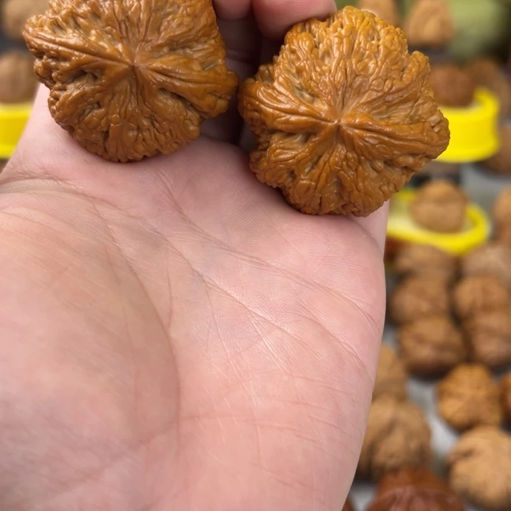 文玩核桃吊坠42尺全品无修大粗筋