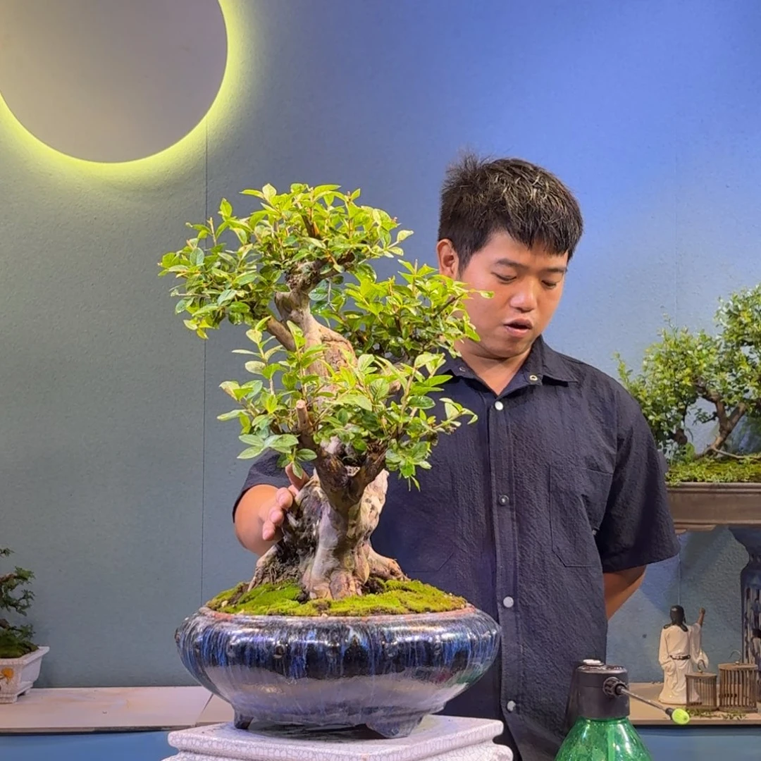 优***玩完全开放红花紫薇一物一拍