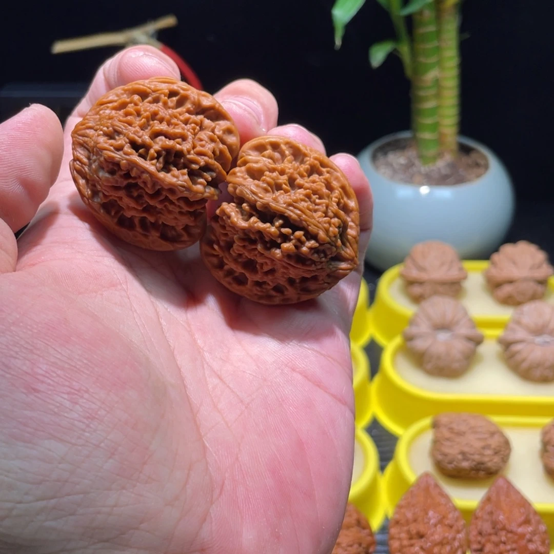 文玩核桃把件41全品满肉红皮满天星以打底矮壮