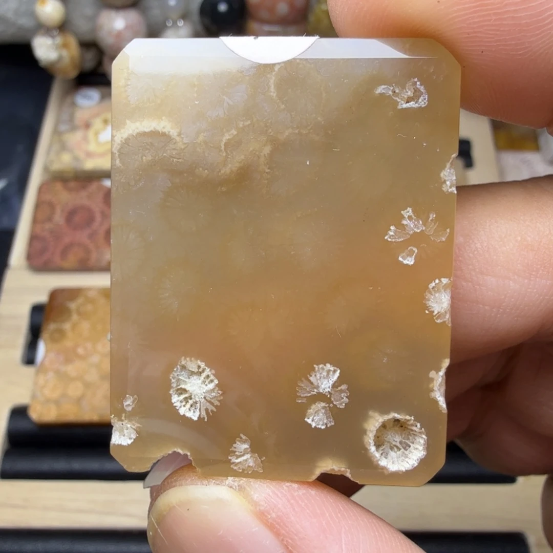 硅化玉未镶嵌纯天然色有机玉石保真色