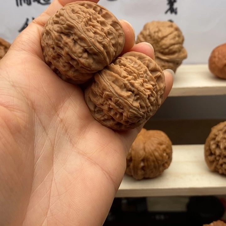 核桃白狮子39尺全品无修