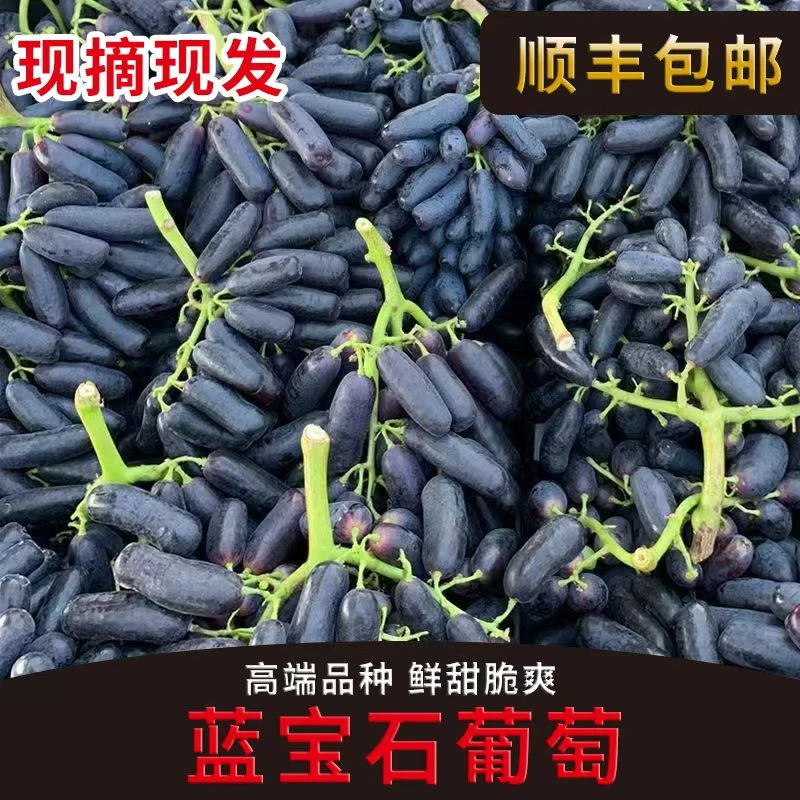 [顺丰送到家]蓝宝石葡萄金手指美人指应季水果无籽qc