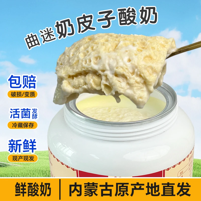 曲迷两层奶皮子酸奶500g草原鲜奶制作低温发酵营养早餐