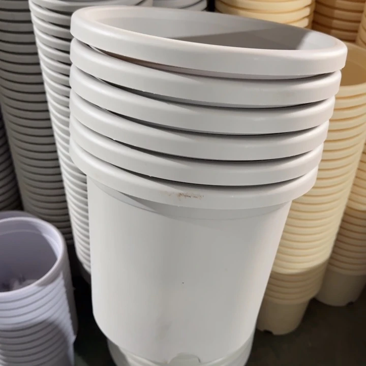 微瑕5号6个无托灰白