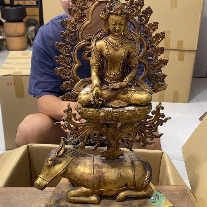 哈哈哈哈哈哈哈哈哈