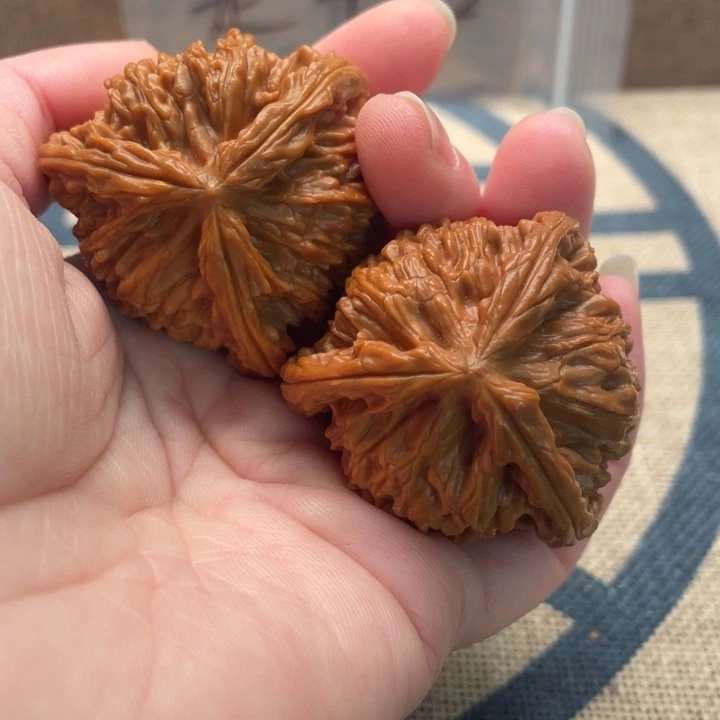 泥***土核桃白狮子41核桃