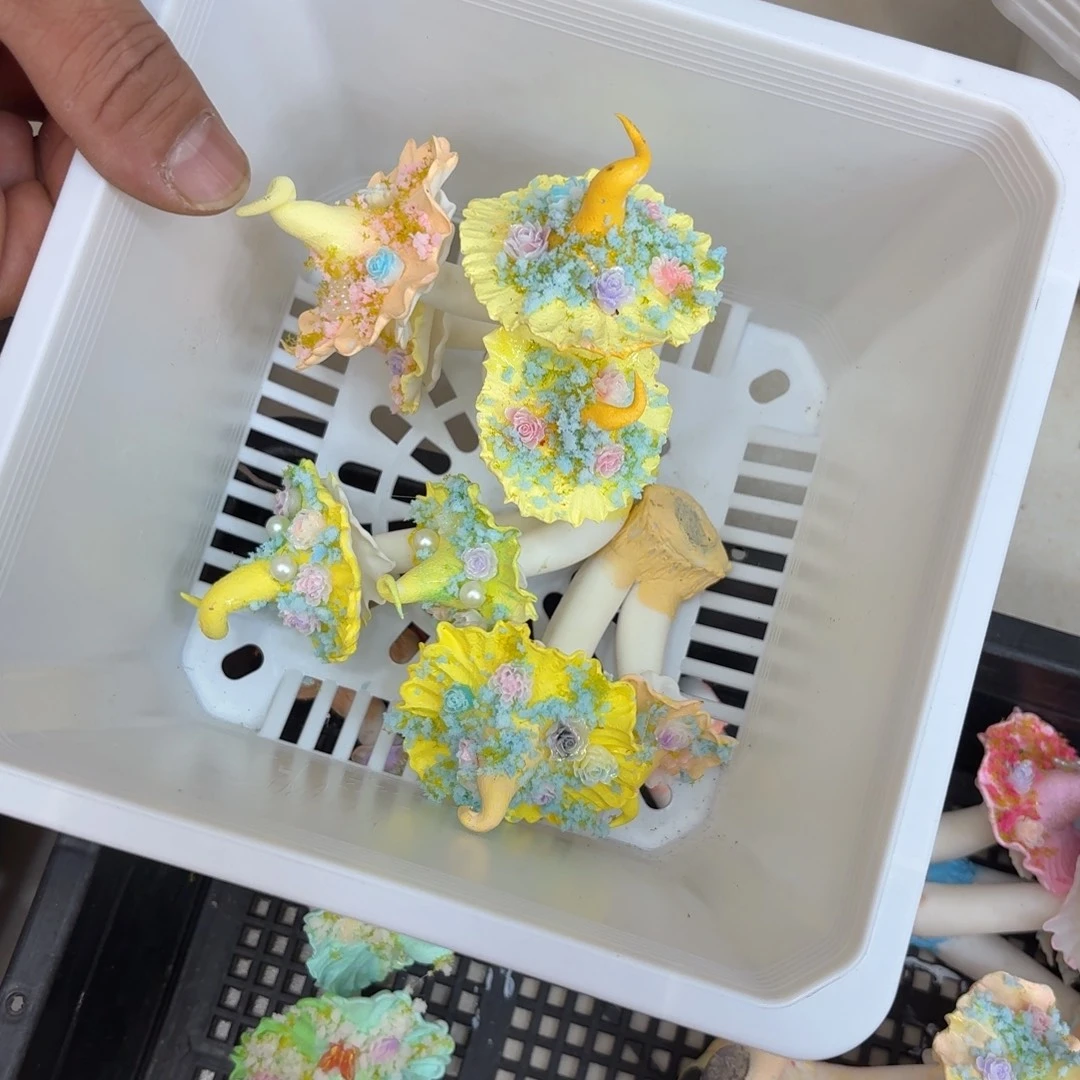 树脂制品5噢噢噢哦哦