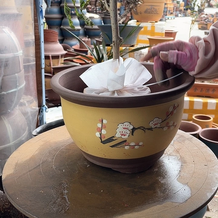 紫砂宜兴紫砂T005中