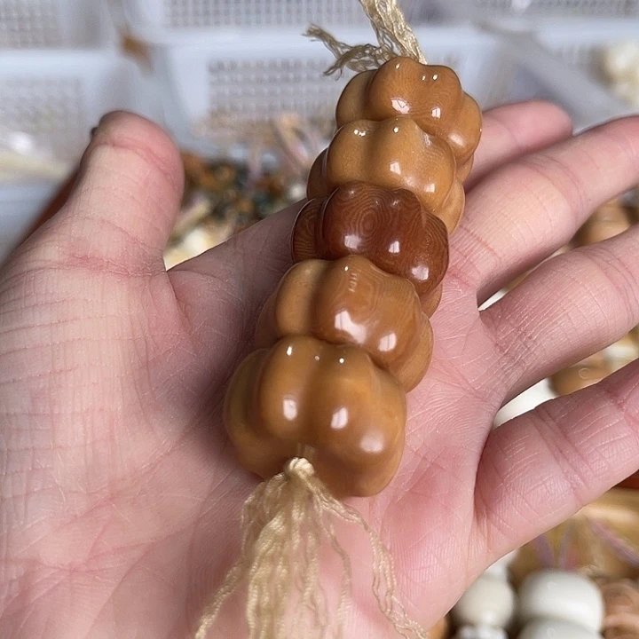 香榧木11111111111