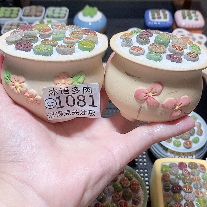 一物一拍 所见即所得1081