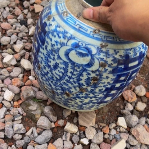 杂色豆（科檀/科特迪瓦檀木）自**美