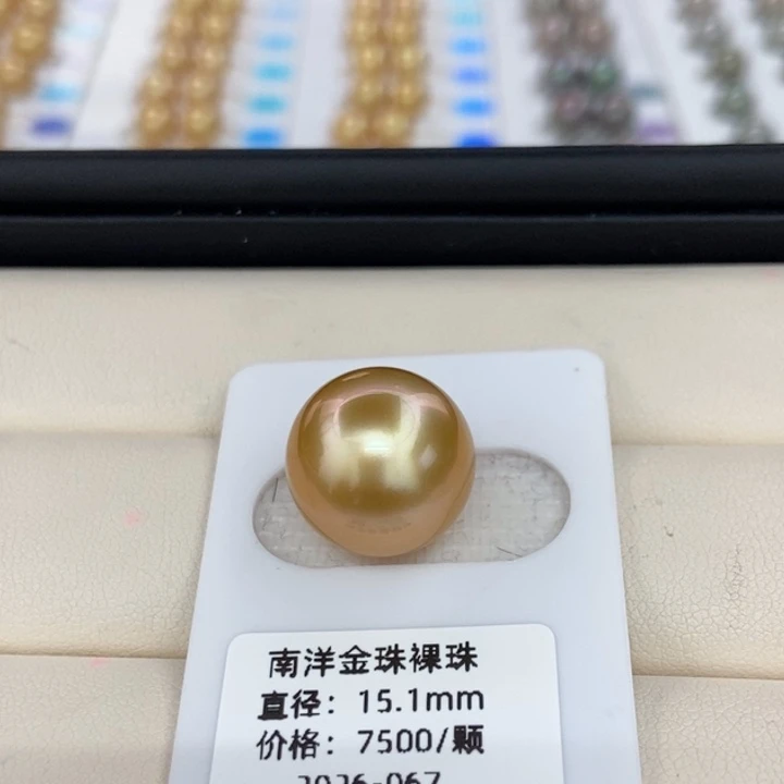 海水珍珠裸珠金珠15-16