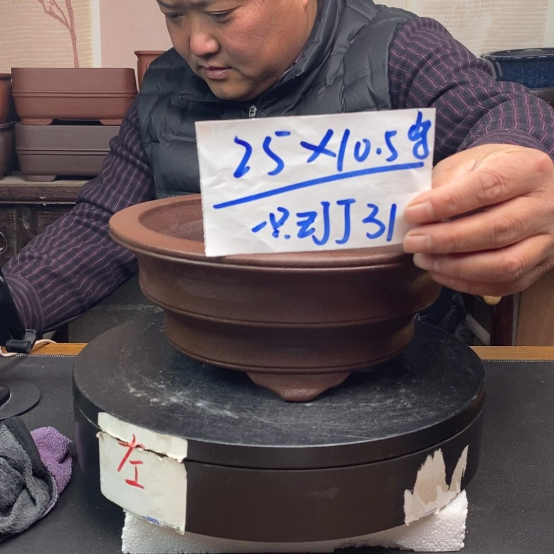 红陶货号一只ZJJ31