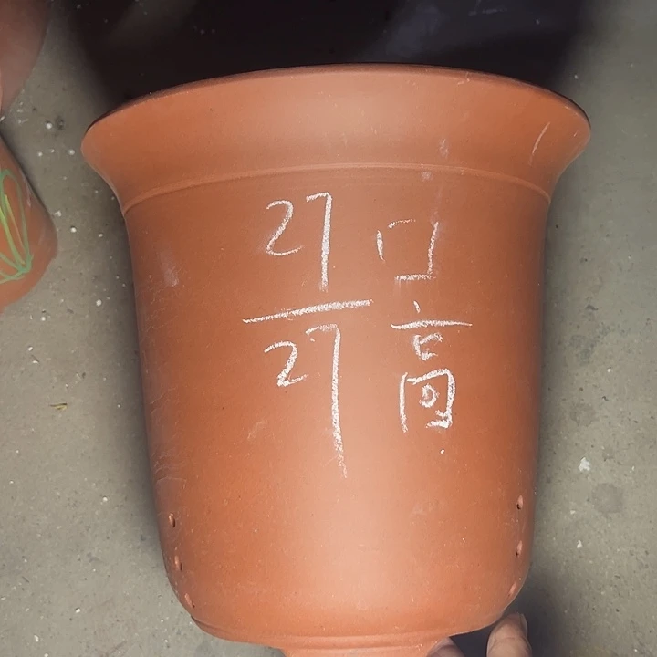 周深周深周深周深走