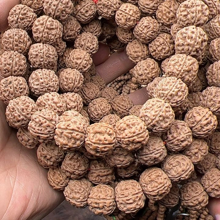 金刚菩提手串乐*李好评