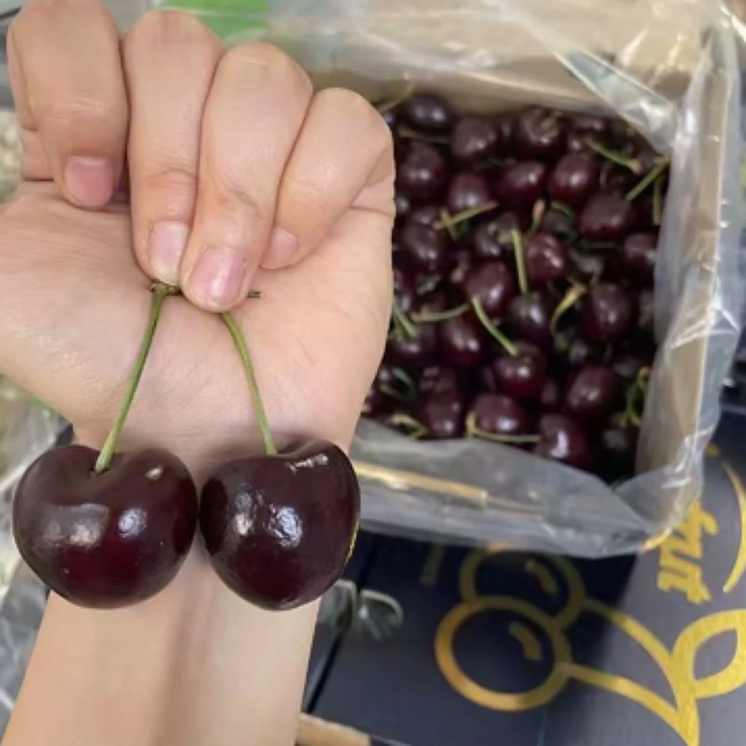 眉山同城车厘子3JDD5斤装