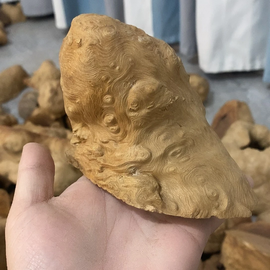 荔枝木蔡***雕荔枝木原料